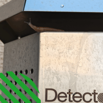 Detector - kaasunvalvonta - haistelija