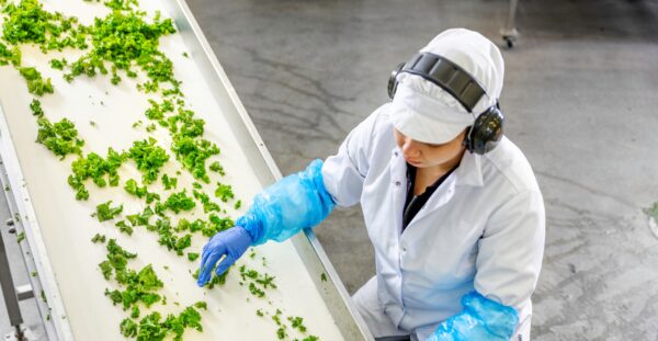 Detector Oy - Apetit