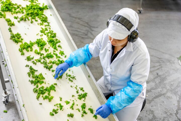 Detector Oy - Apetit reference