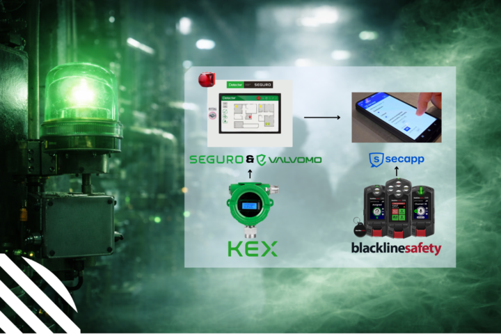 Detector Oy - What to do when alarm sounds?